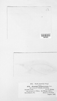 Image Associated With the Occurence